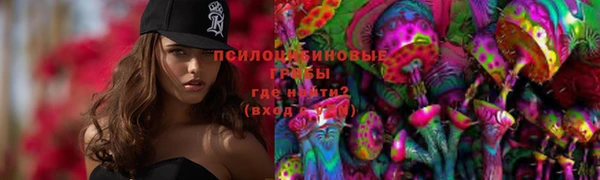 стаф Дмитриев
