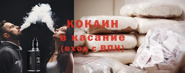 стаф Дмитриев