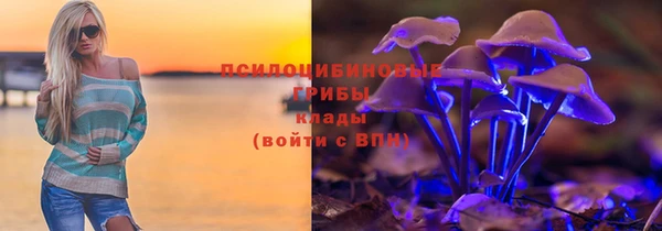 стаф Дмитриев