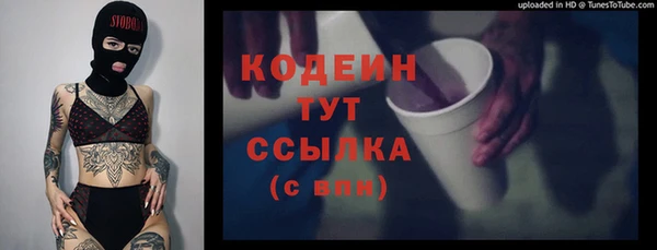 стаф Дмитриев