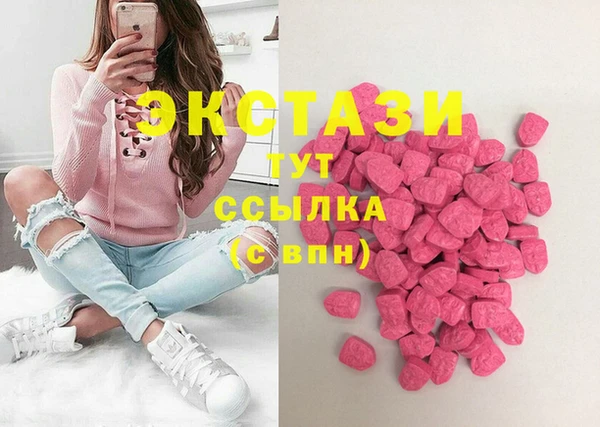 стаф Дмитриев