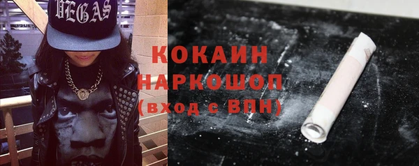 стаф Дмитриев