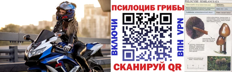 Псилоцибиновые грибы Psilocybine cubensis  купить наркоту  Рошаль 
