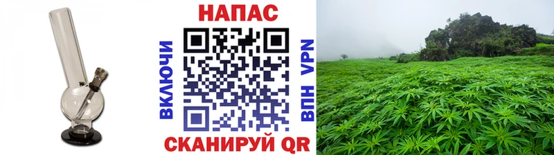 где купить наркоту  Рошаль  Марихуана тримм 